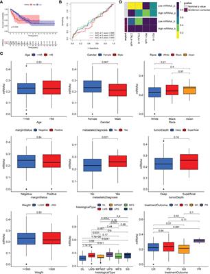 Stemness Subtypes and Scoring System Predict Prognosis and Efficacy of Immunotherapy in Soft Tissue Sarcoma